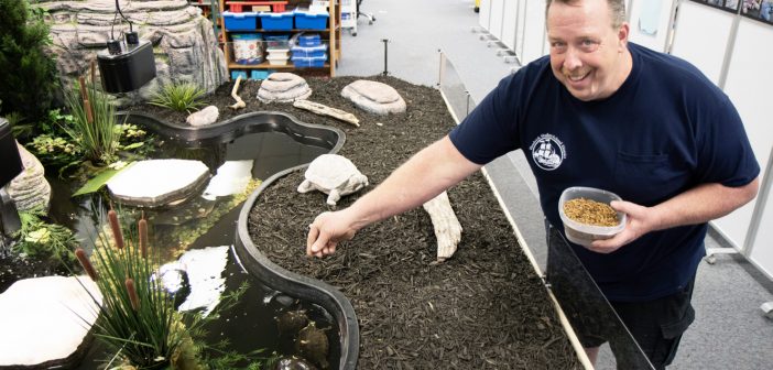 Custodian builds turtle-y awesome habitat for STEM lab