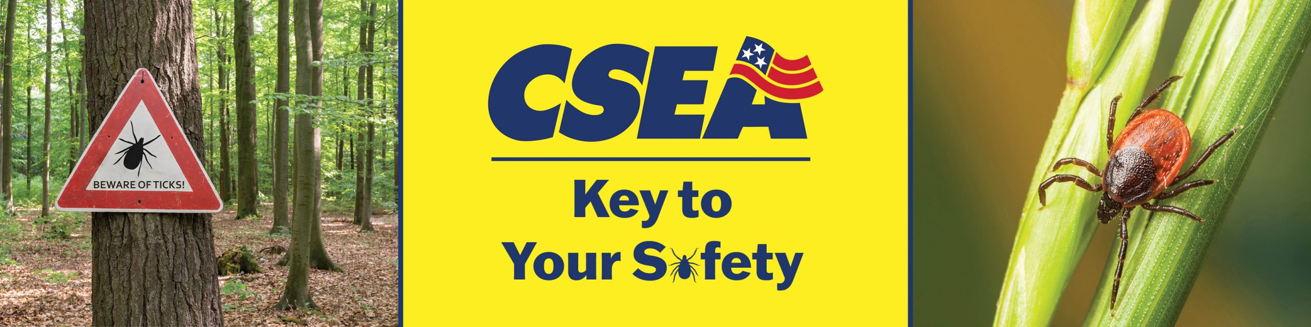 Early and proper removal of ticks is key to your safety - CSEA NY