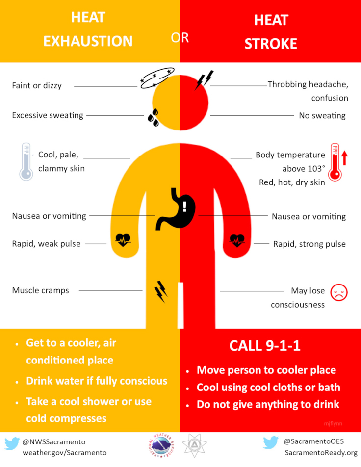 heat_symptoms-eng-sp